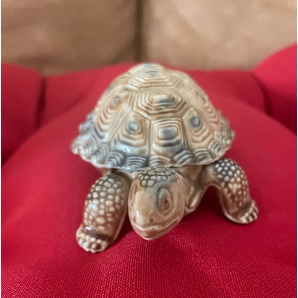 Small turtle - Picture 1 of 4